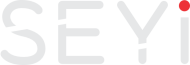 SEYI MULTI-SERVICE
